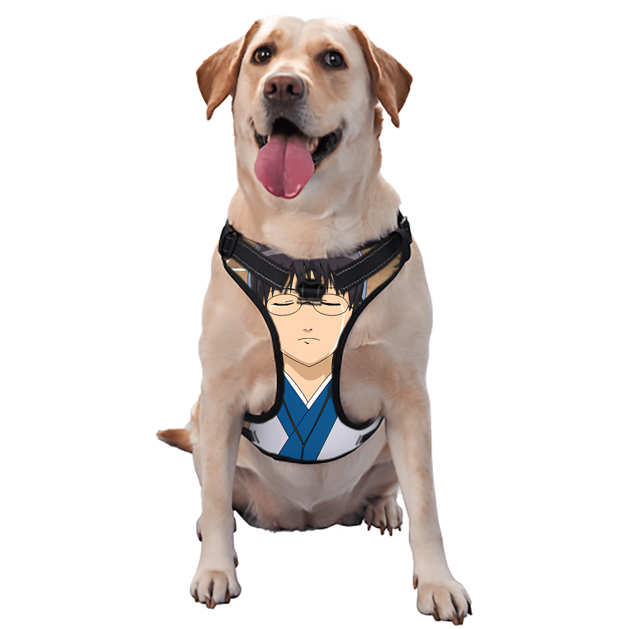 （画像用） ぎんたま 坂田銀時（さかたぎんとき） 神楽 志村新八（しむら しんぱち） GINTAMA Sakata Gintoki Kagura Shimura Shinpachi ペット用ハーネス
